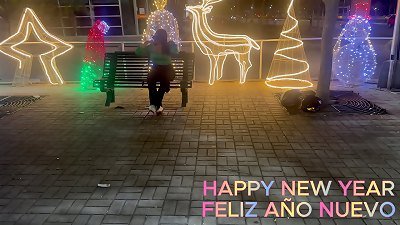 I meet a beautiful woman on the first day of the year and we have sex.