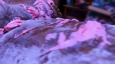 Turned Victoria Cakes into a cake (Intense)